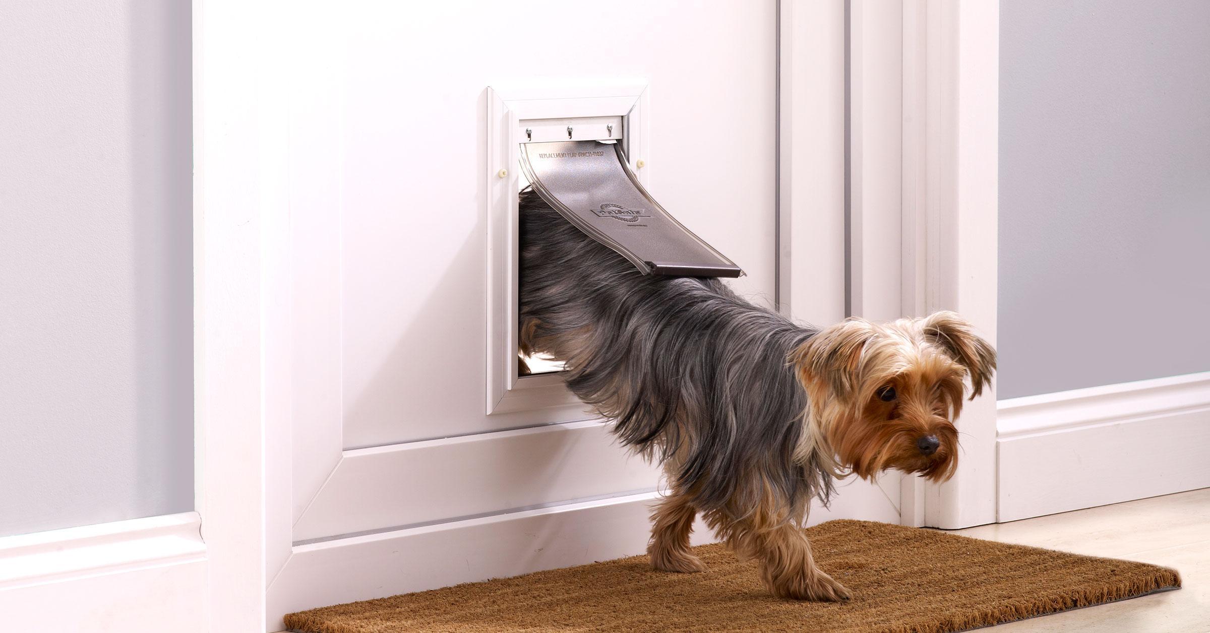 Dog flap installation expert in London